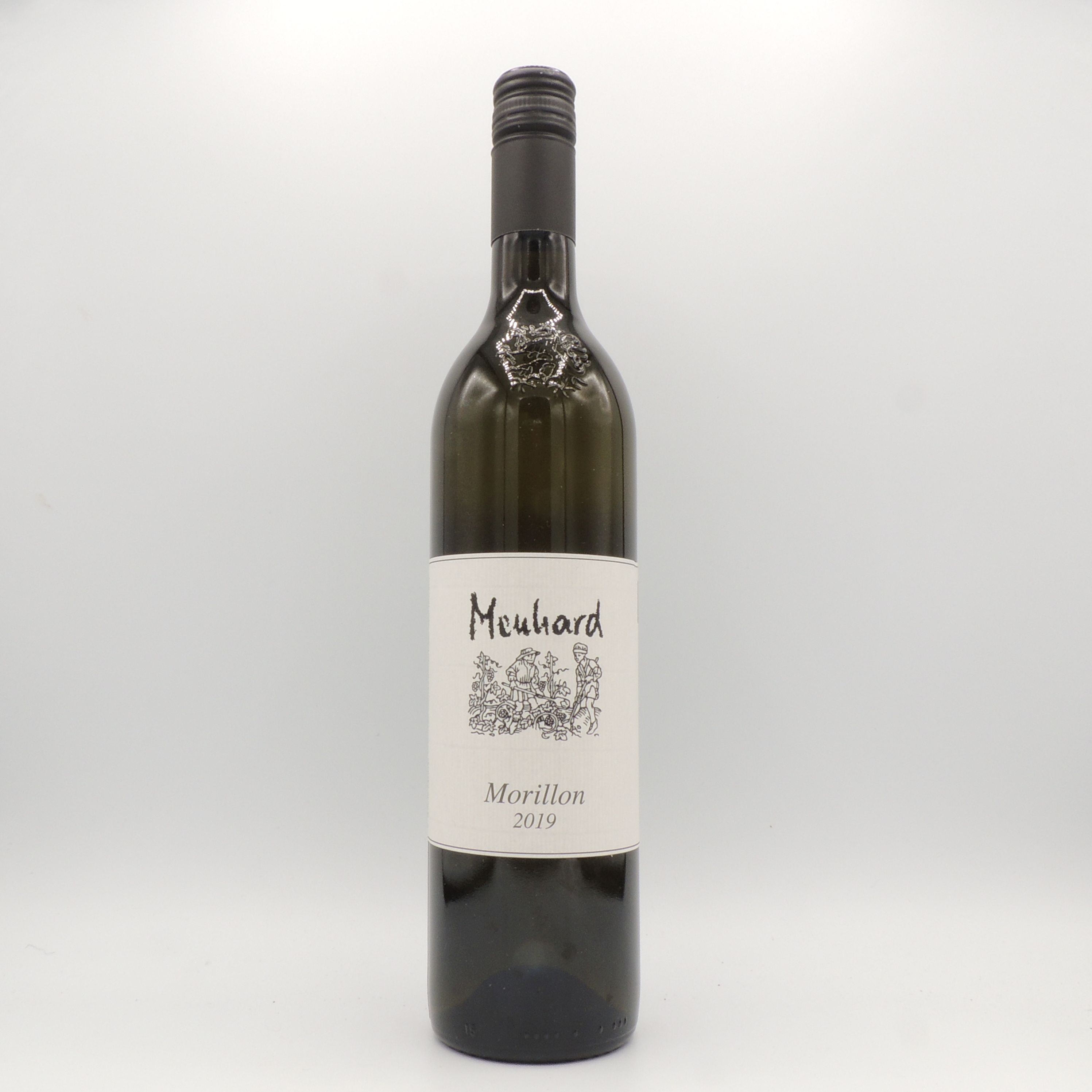 Bio-Morillon 2024 Weingut Menhard BA